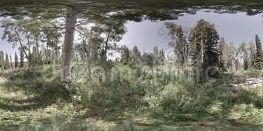 虚拟现实静态拍摄的森林从山顶